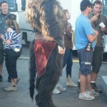 Dawn Treader Minotaur ~Drakeshe