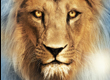 ASLAN - Facebook H